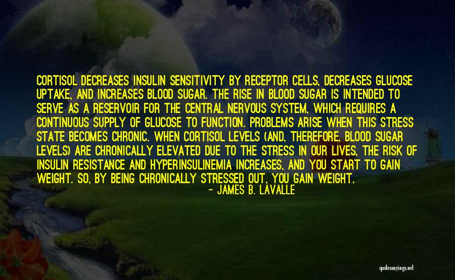Central Nervous System Quotes By James B. LaValle Central Nervous System Quotes By James B. LaValle