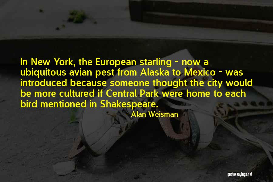 Central Park New York City Quotes By Alan Weisman Central Park New York City Quotes By Alan Weisman