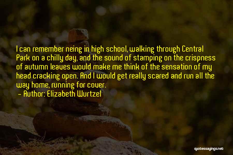 Central Park Running Quotes By Elizabeth Wurtzel