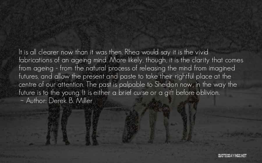 Centre Of Attention Quotes By Derek B. Miller