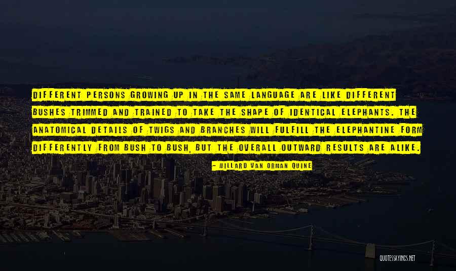 Centrillo Council Quotes By Willard Van Orman Quine Centrillo Council Quotes By Willard Van Orman Quine