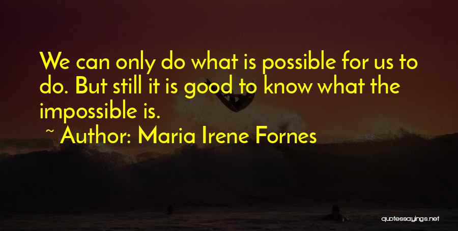 Centrul Medical Unirea Quotes By Maria Irene Fornes