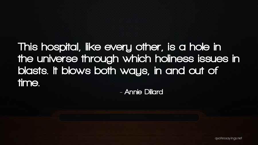 Centura College Quotes By Annie Dillard Centura College Quotes By Annie Dillard