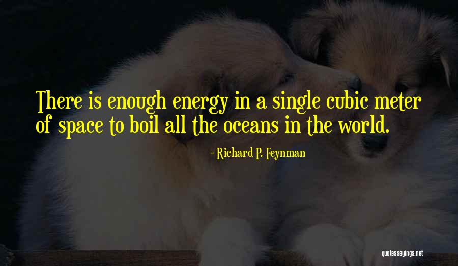 Ceparano Pizza Quotes By Richard P. Feynman Ceparano Pizza Quotes By Richard P. Feynman