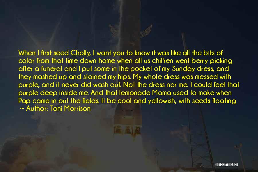 C'era Una Volta Quotes By Toni Morrison