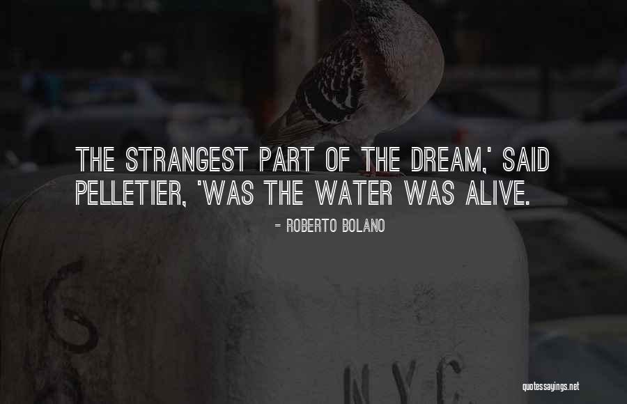 Ceramica Santagostino Quotes By Roberto Bolano