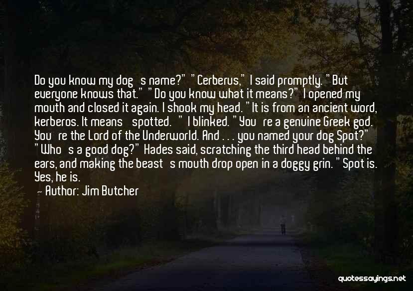 Cerberus Quotes By Jim Butcher