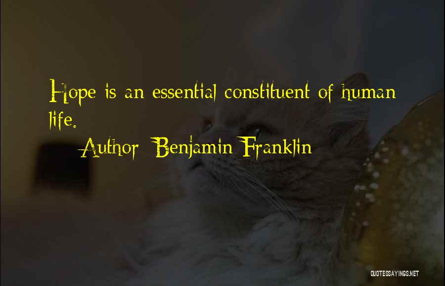 Cercando Terreno Quotes By Benjamin Franklin