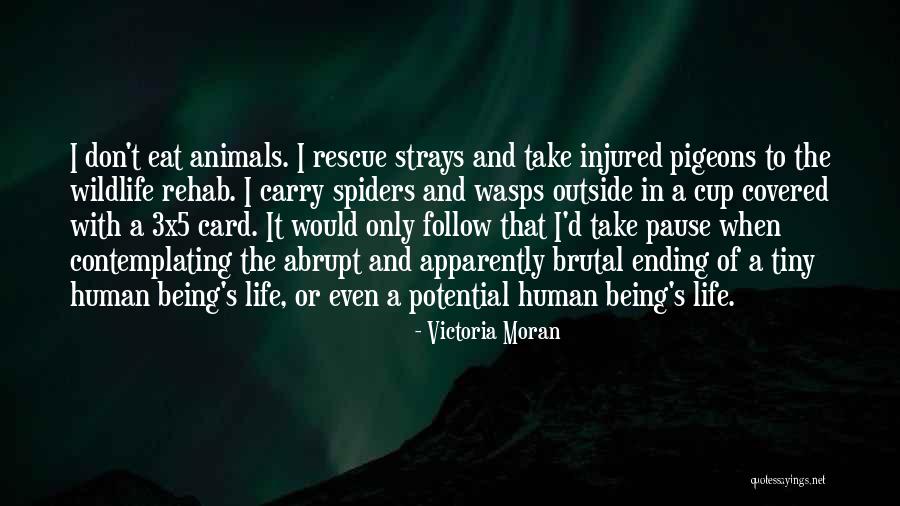 Cercarial Quotes By Victoria Moran Cercarial Quotes By Victoria Moran
