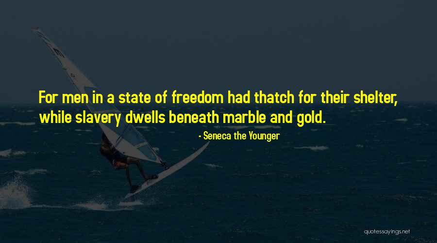 Cercopithecidae Quotes By Seneca The Younger Cercopithecidae Quotes By Seneca The Younger