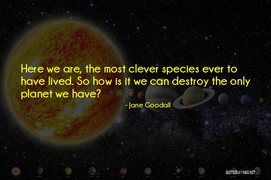 Cerde A Costa Quotes By Jane Goodall Cerde A Costa Quotes By Jane Goodall