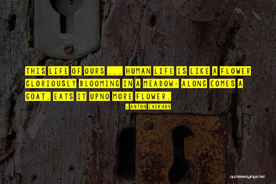 Cereais De Chocolate Quotes By Anton Chekhov