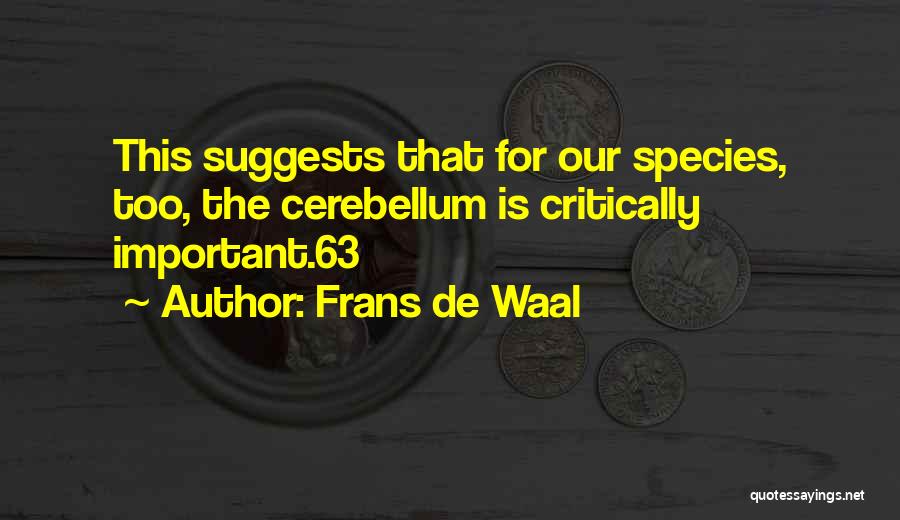 Cerebellum Quotes By Frans De Waal
