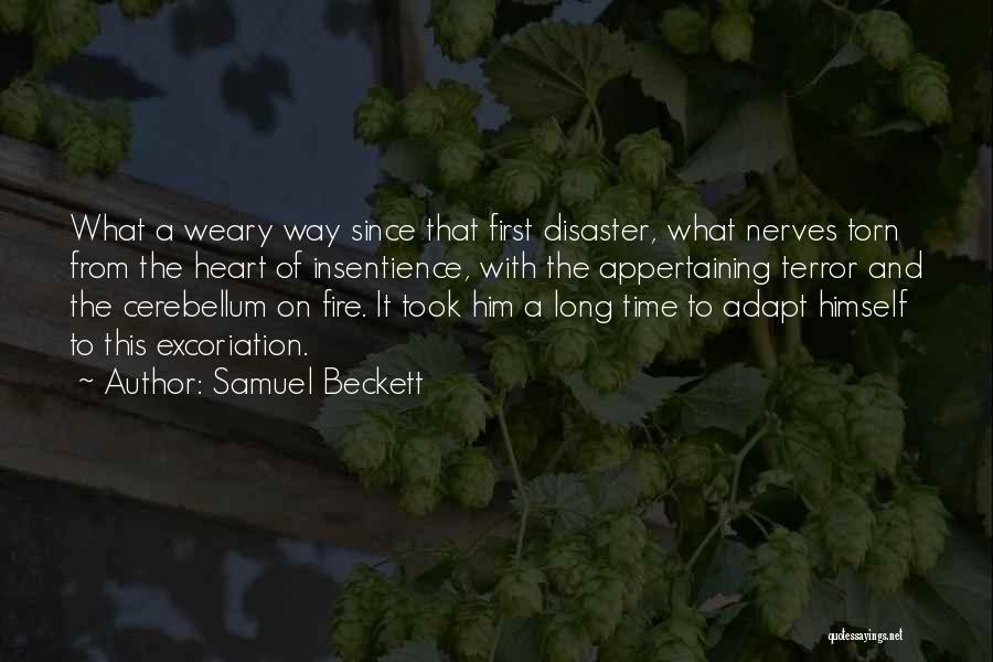 Cerebellum Quotes By Samuel Beckett