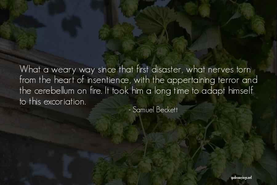 Cerebellum Quotes By Samuel Beckett