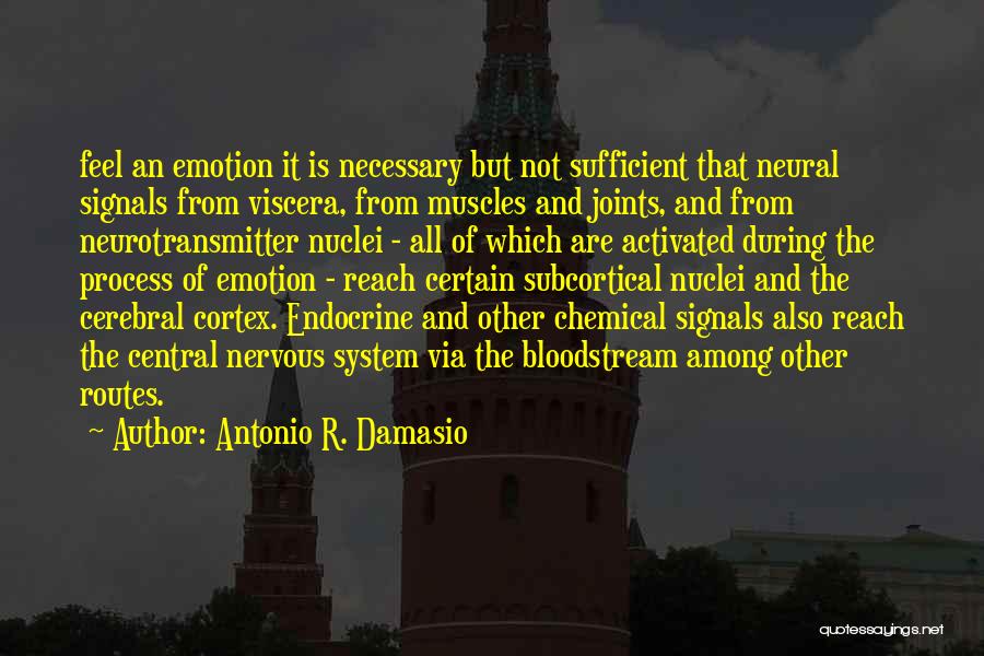 Cerebral Quotes By Antonio R. Damasio