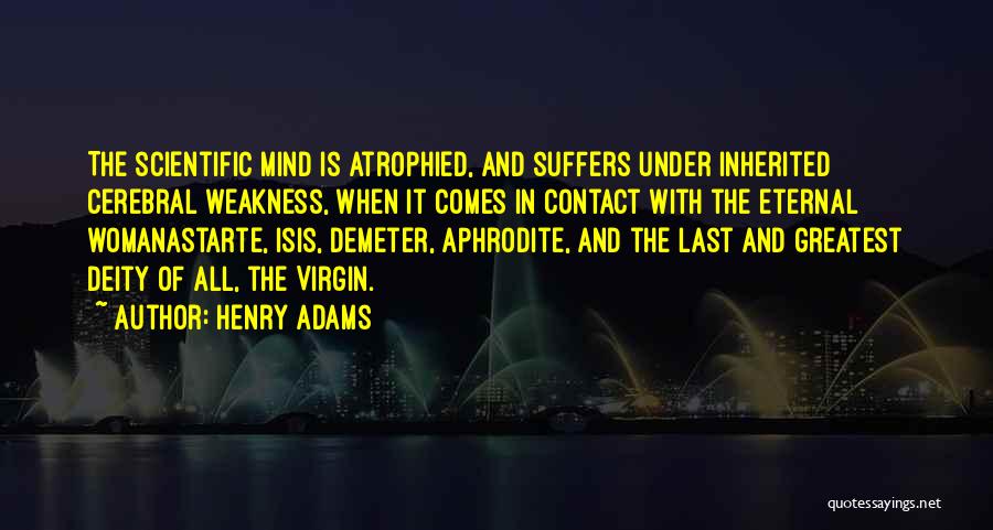 Cerebral Quotes By Henry Adams