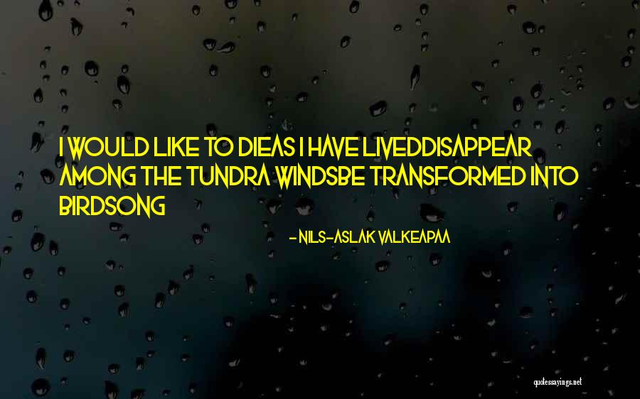 Cererile Quotes By Nils-Aslak Valkeapaa Cererile Quotes By Nils-Aslak Valkeapaa