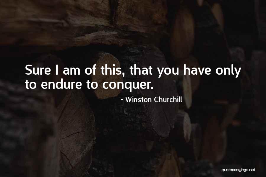 Ceretti Check Quotes By Winston Churchill Ceretti Check Quotes By Winston Churchill