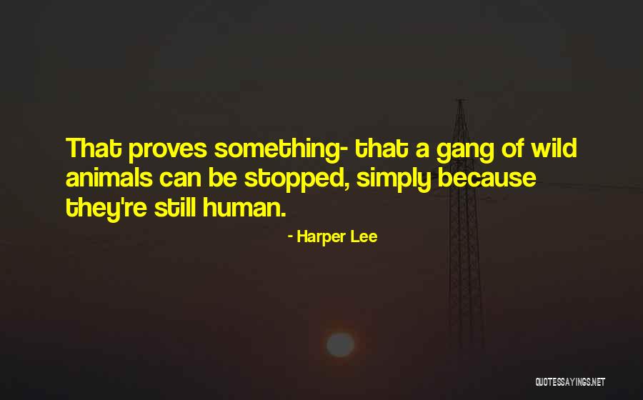 Cereus Blooms Quotes By Harper Lee Cereus Blooms Quotes By Harper Lee