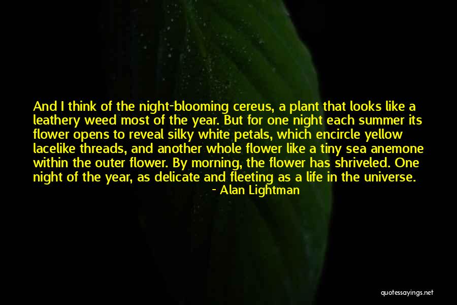 Cereus Night Quotes By Alan Lightman Cereus Night Quotes By Alan Lightman
