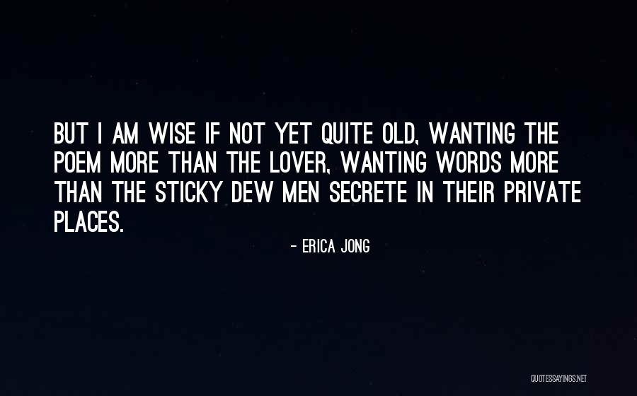 Ceri Evans Quotes By Erica Jong Ceri Evans Quotes By Erica Jong