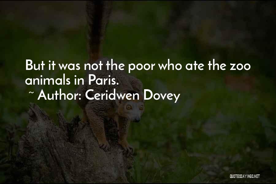 Ceridwen Dovey Quotes 360765