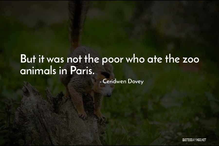 Ceridwen Dovey Quotes 360765 Ceridwen Dovey Quotes 360765