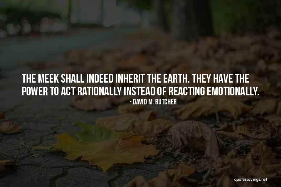 Cerminan Sumbu Quotes By David M. Butcher