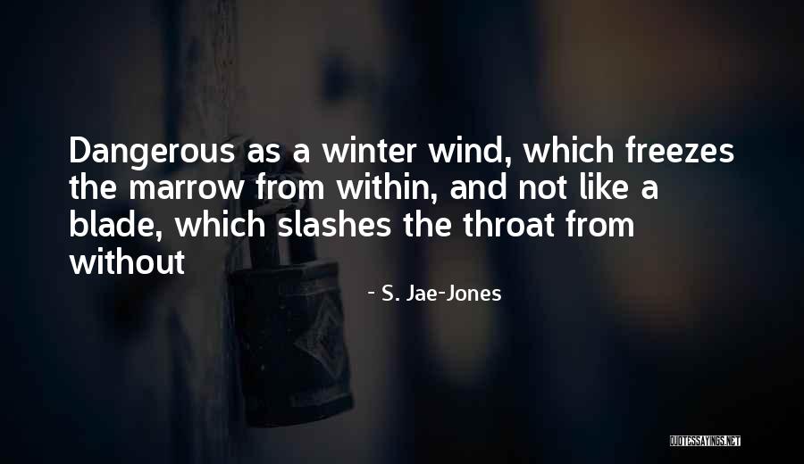 Cerner Quotes By S. Jae-Jones Cerner Quotes By S. Jae-Jones