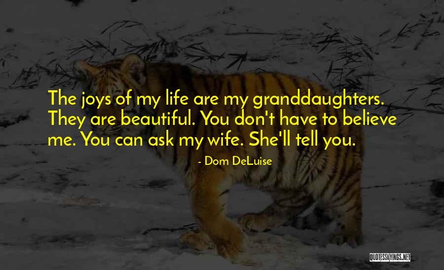 Cernescu Ion Quotes By Dom DeLuise Cernescu Ion Quotes By Dom DeLuise
