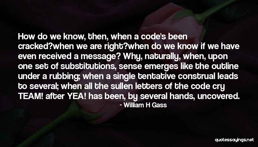 Cernosek Enterprises Quotes By William H Gass Cernosek Enterprises Quotes By William H Gass
