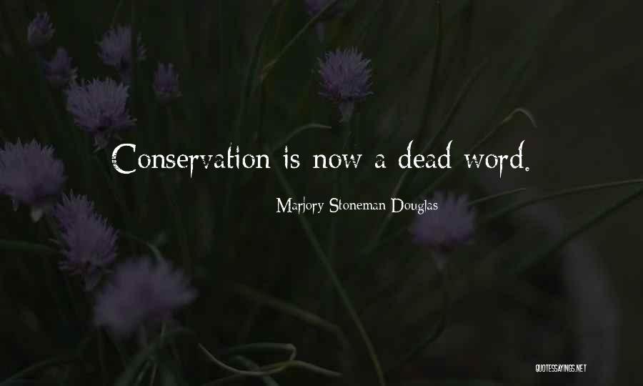 Cerrada Beach Quotes By Marjory Stoneman Douglas Cerrada Beach Quotes By Marjory Stoneman Douglas