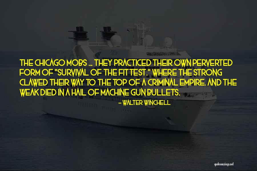 Cerrados Envios Quotes By Walter Winchell Cerrados Envios Quotes By Walter Winchell
