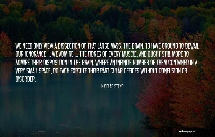 Cerrone Music Quotes By Nicolas Steno Cerrone Music Quotes By Nicolas Steno