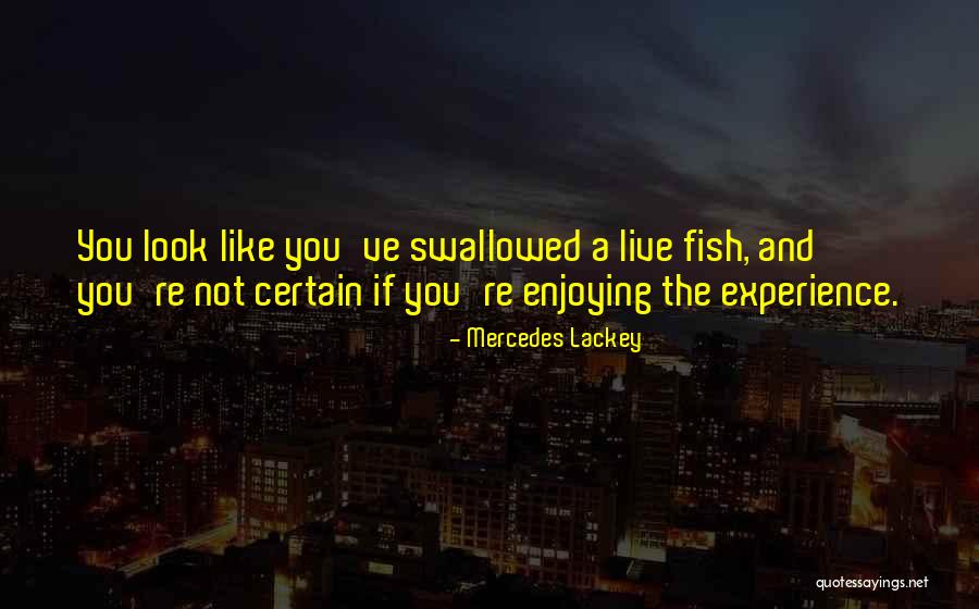 Certain And Uncertainty Quotes By Mercedes Lackey Certain And Uncertainty Quotes By Mercedes Lackey
