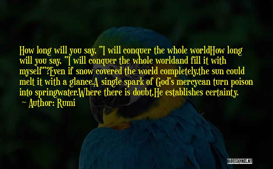 Certainty And Doubt Quotes By Rumi