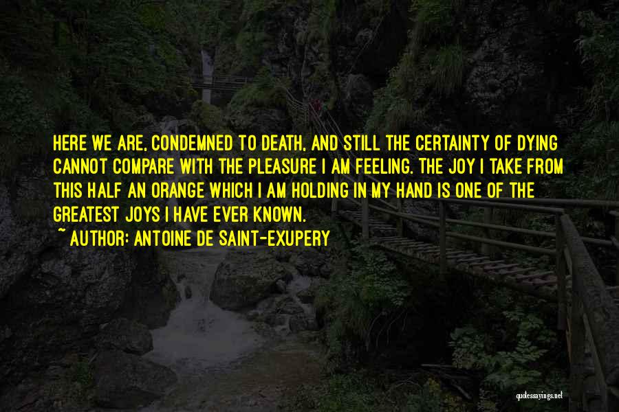 Certainty Of Death Quotes By Antoine De Saint-Exupery