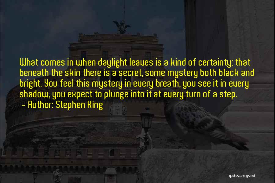 Certainty Quotes By Stephen King