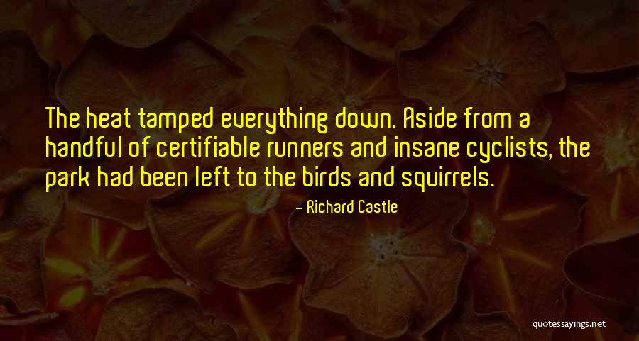 Certifiable Quotes By Richard Castle Certifiable Quotes By Richard Castle