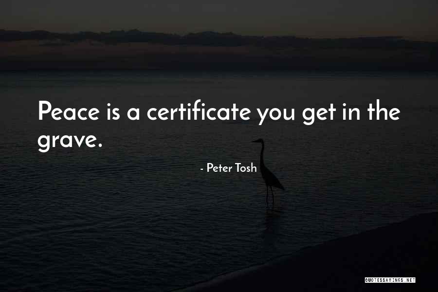 Certificates Quotes By Peter Tosh Certificates Quotes By Peter Tosh