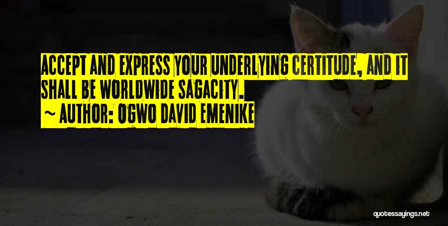 Certitude Quotes By Ogwo David Emenike