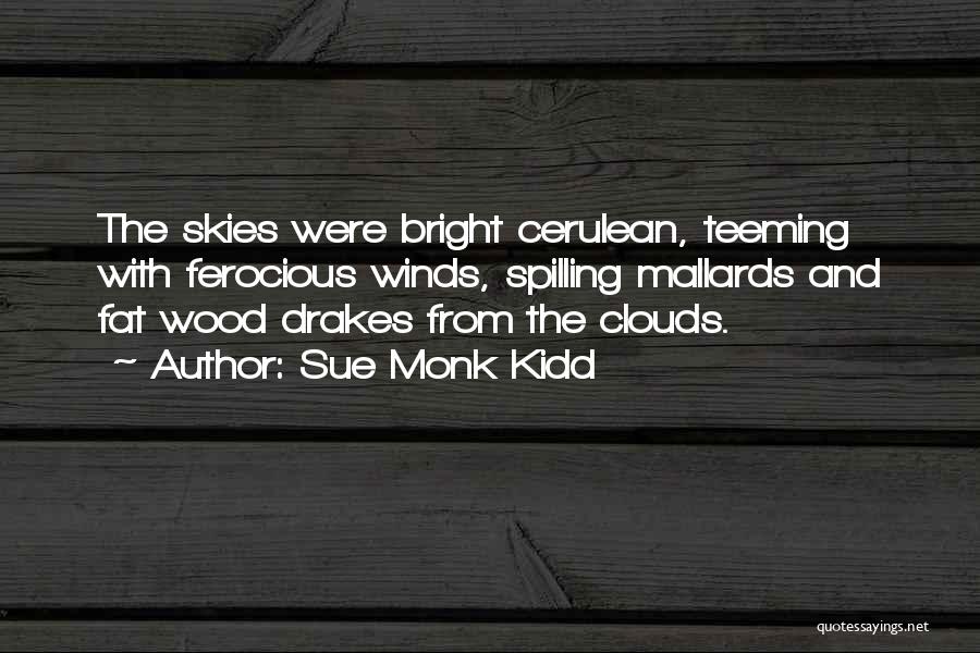 Cerulean Quotes By Sue Monk Kidd