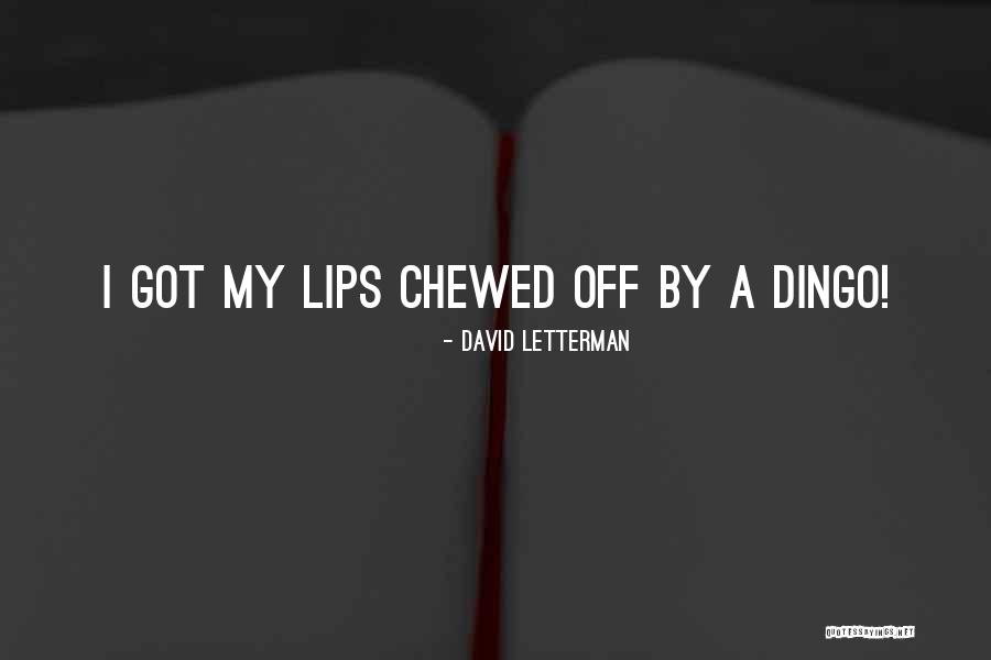 Cerulein Quotes By David Letterman Cerulein Quotes By David Letterman
