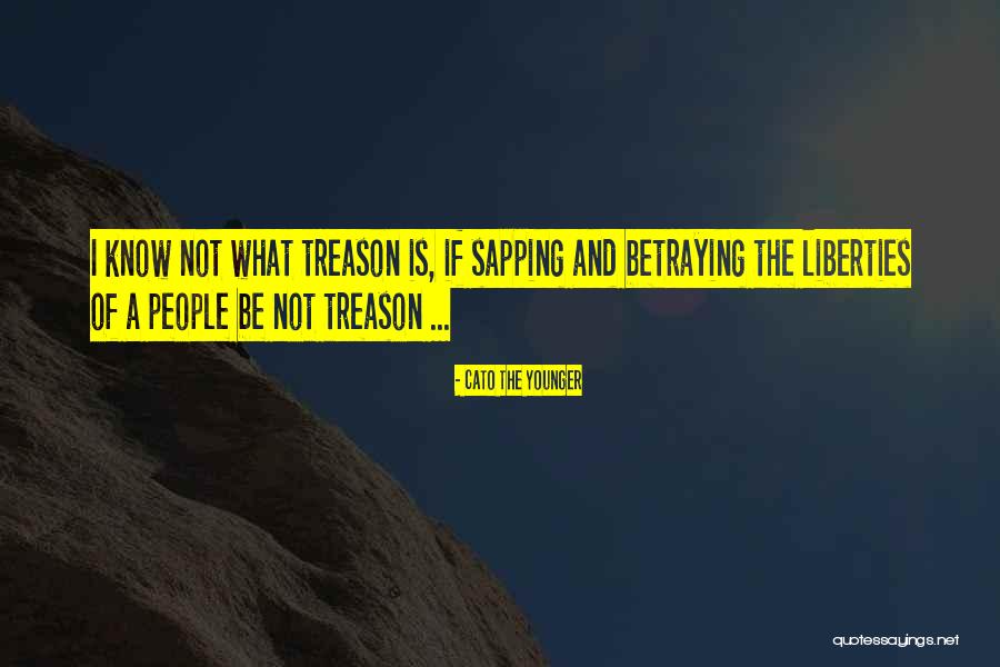 Cerulli And Associates Quotes By Cato The Younger Cerulli And Associates Quotes By Cato The Younger
