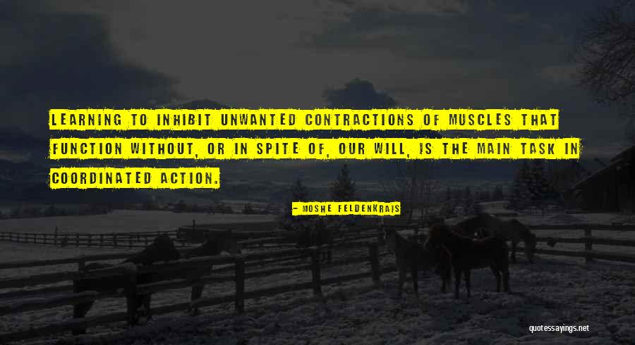 Ceruse Quotes By Moshe Feldenkrais Ceruse Quotes By Moshe Feldenkrais