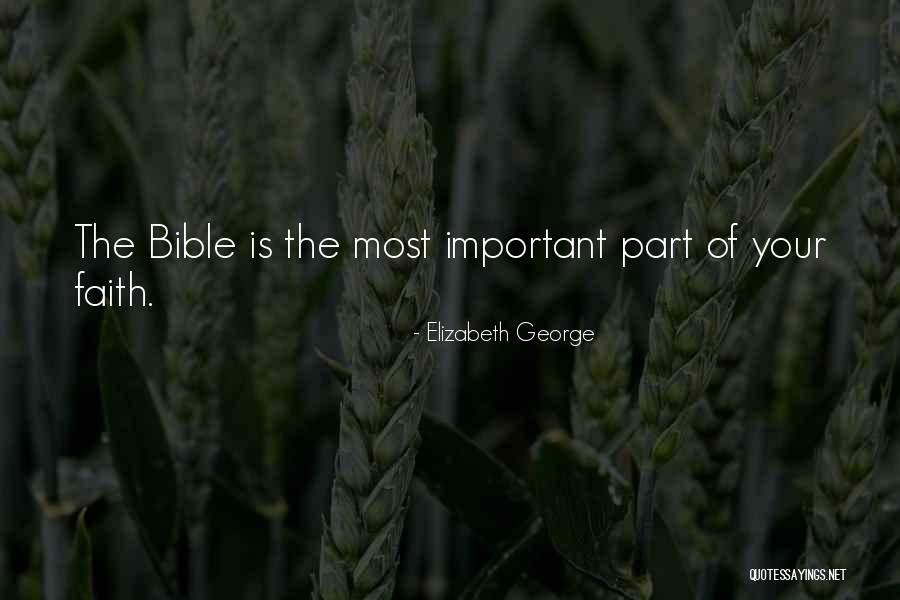 Cervasioni Quotes By Elizabeth George Cervasioni Quotes By Elizabeth George