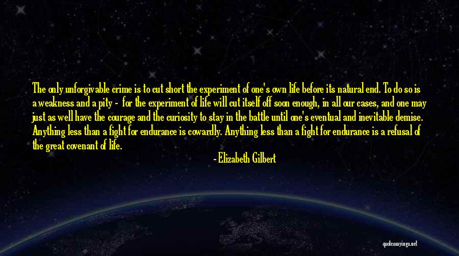 Cervello Inc Quotes By Elizabeth Gilbert Cervello Inc Quotes By Elizabeth Gilbert