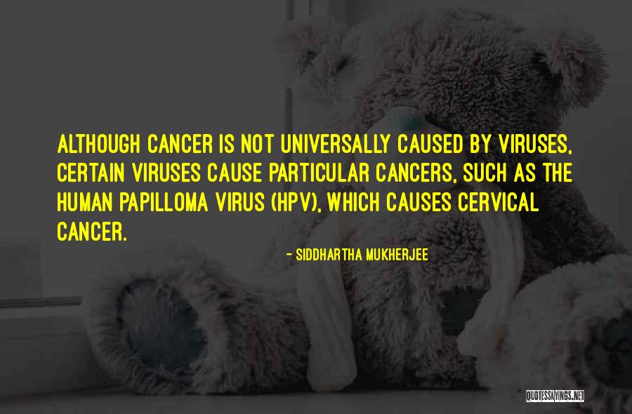 Cervical Quotes By Siddhartha Mukherjee Cervical Quotes By Siddhartha Mukherjee