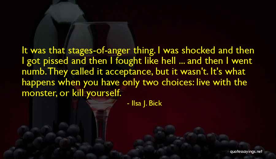 Cervini Hoods Quotes By Ilsa J. Bick Cervini Hoods Quotes By Ilsa J. Bick